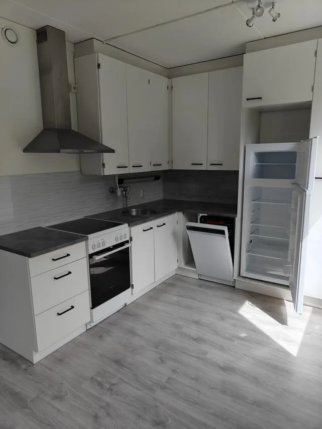 Köök - One-Bedroom Flat with Balcony in Harjavalta