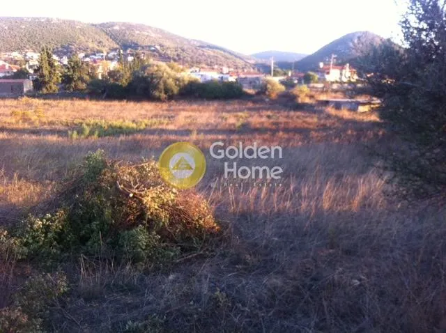 Jardin - Plot with Unrestricted View in Koskina, Dytos