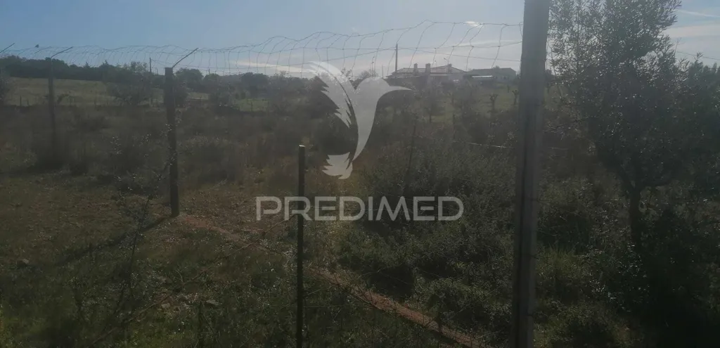 Garden - Industrial Land with Direct Access in Portalegre
