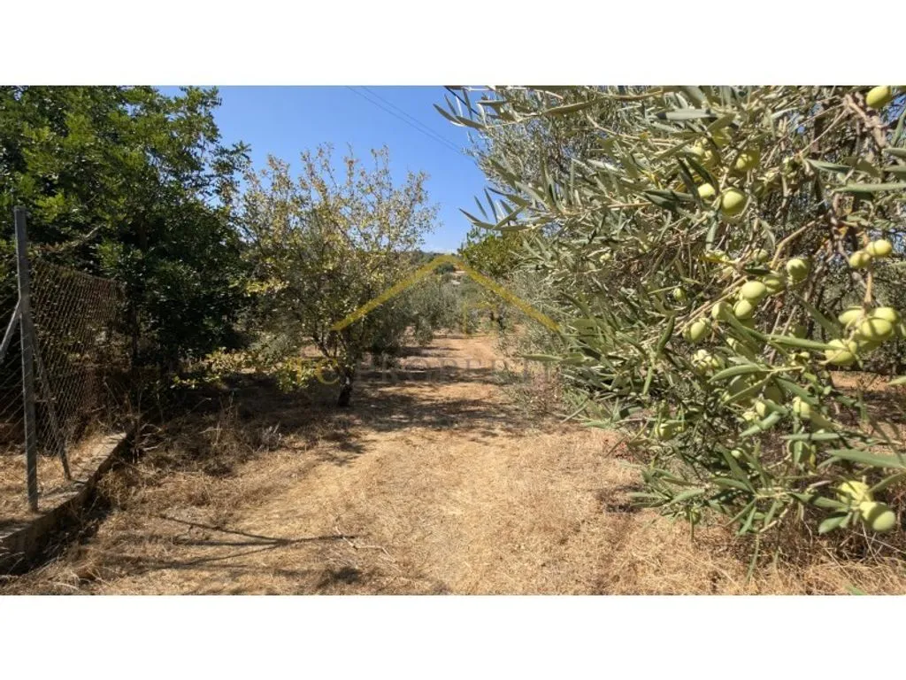 Jardin - Traditional Farmhouse with Nature Setting in Tavira