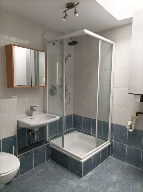 Salles de bain - Appartement Calme 1 Pièce au Centre de Strasbourg