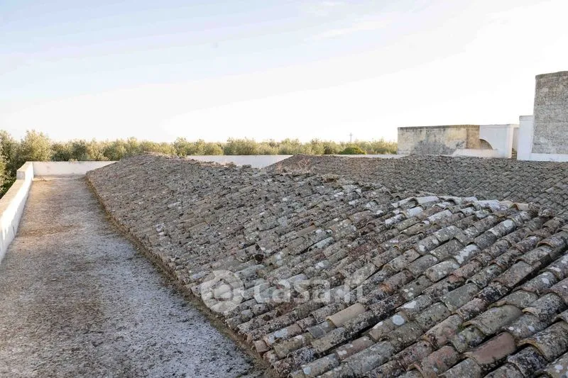 Extérieur - Masseria with Olive Grove in Barletta
