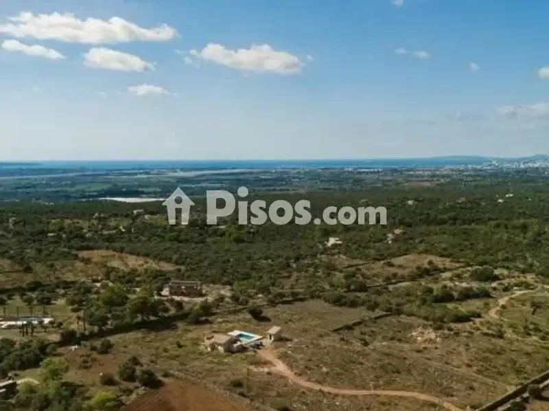 Vista aerea - Rustic Finca with Pool in Portol, Marratxí
