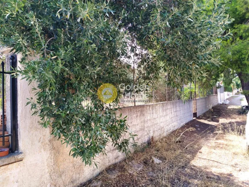Jardin - Agricultural Plot with Sea View in Artemida