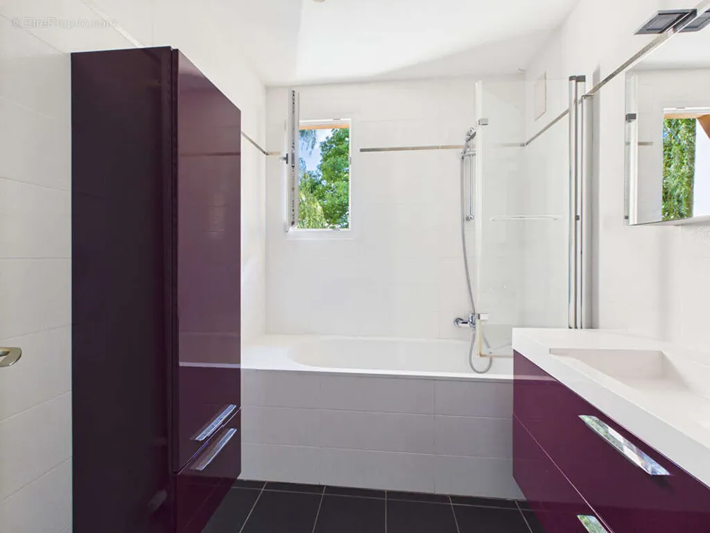 Bathrooms - Apartment with Terrace in Illkirch-Graffenstaden