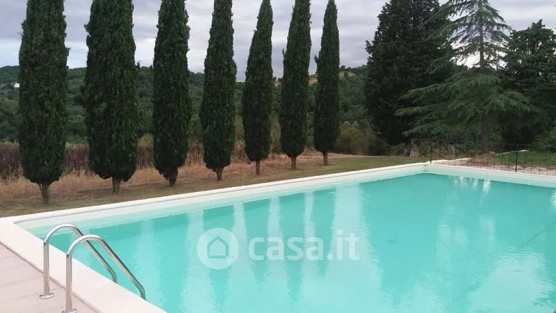Piscine - Rustic Cottage with Pool in Lucignano