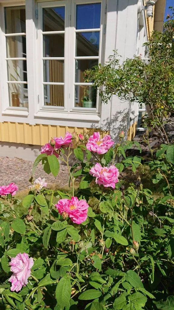 11-toaline maja asukohas Ulricehamns kommun