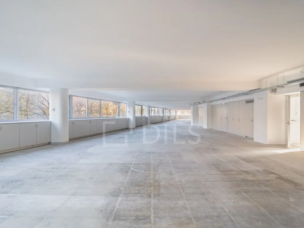 Toad - Office Space with Natural Light in Porto