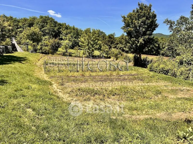 Aed - Rustic Tuscan Casale with Olive Grove in Anghiari