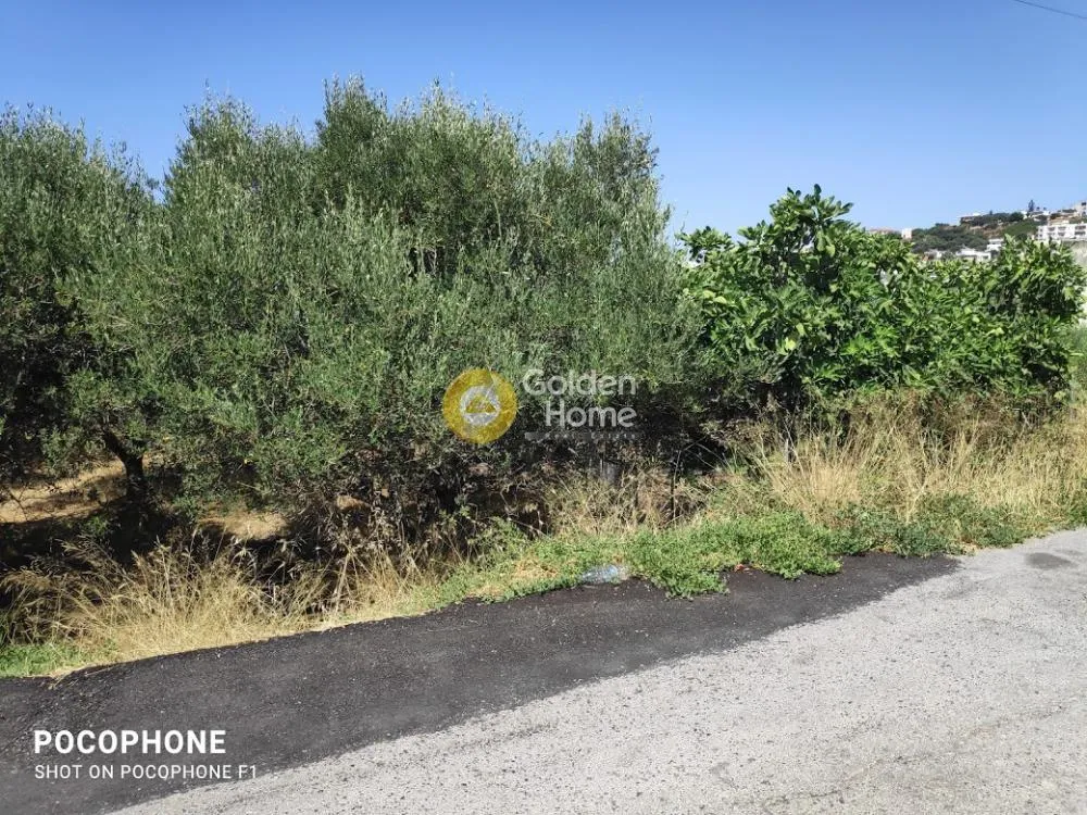 Aed - Plot with Olive Trees in Heraklion, Crete
