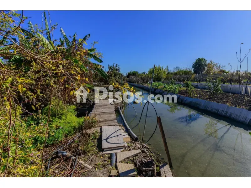 Jardin - Rustic Finca with Pool in Grao de Castellón