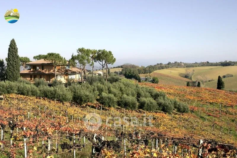 Jardin - Panoramic Villa with Private Park in Notaresco