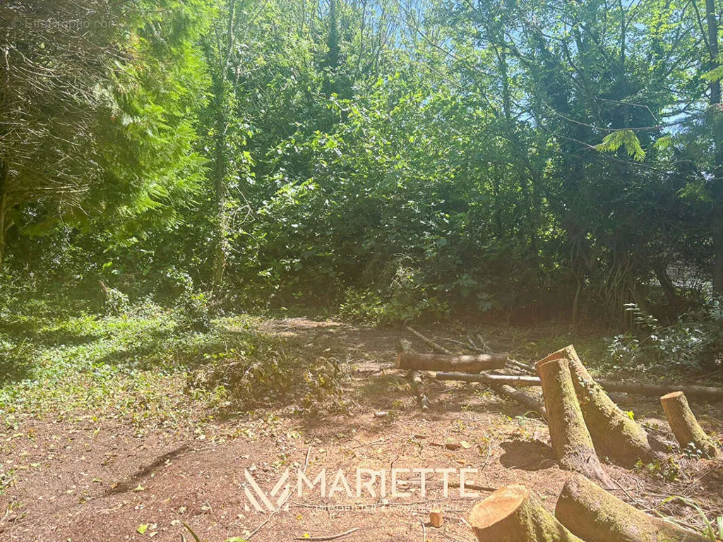 Aed - Buildable Plot with Coastal Access in Kerascoët