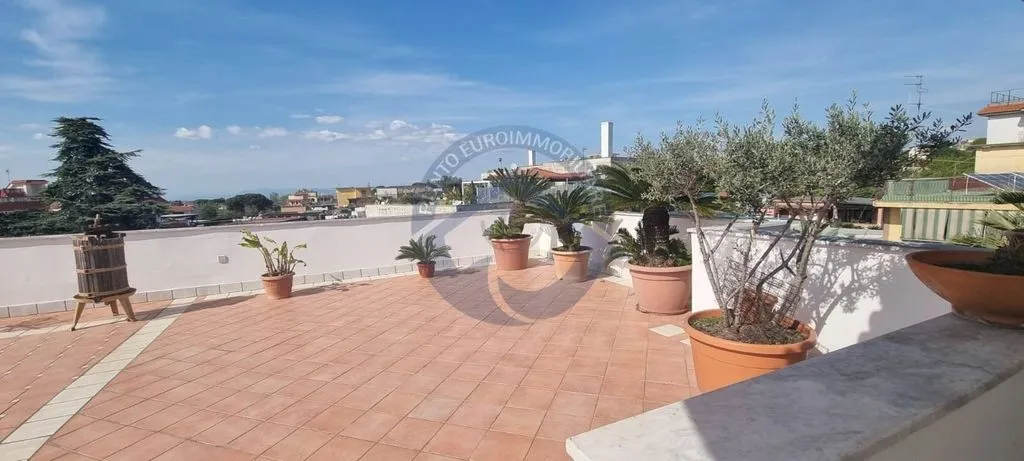terrace_patio