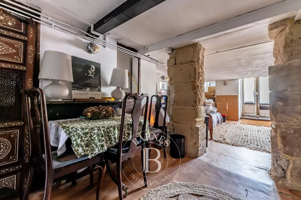 Elutuba - Duplex Apartment with Seine View in Paris 1st