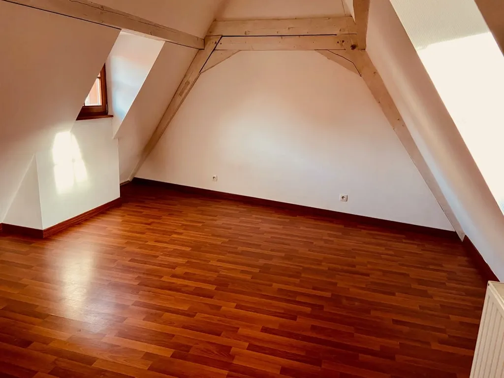 Toad - City Centre Duplex Apartment in Obernai