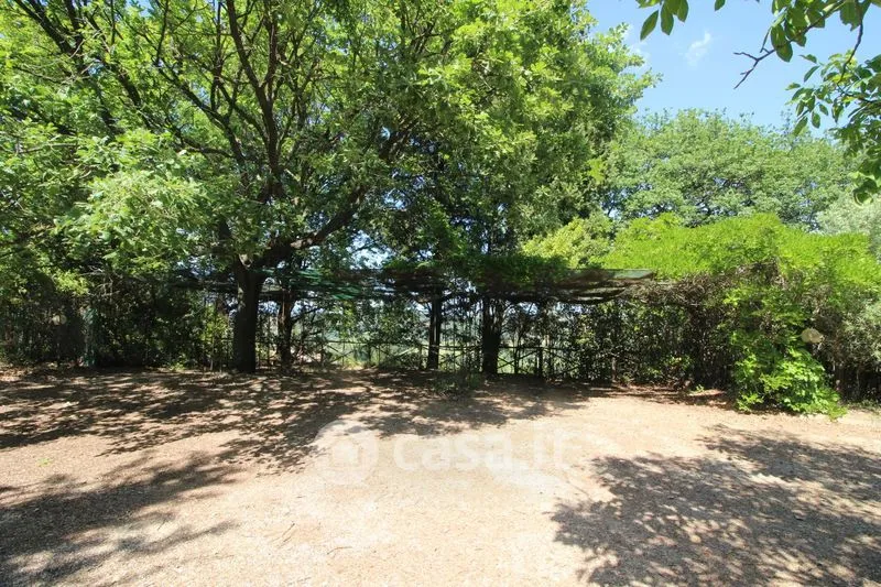 Garden - Rustic Agriturismo with Pool in Montespertoli