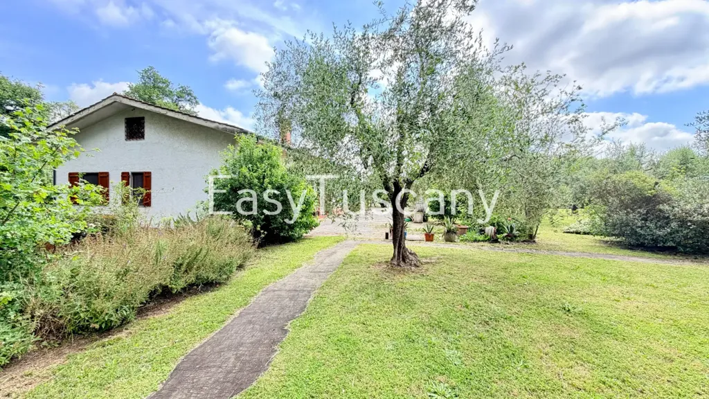 Jardin - Villa with Olive Grove in Montecarlo