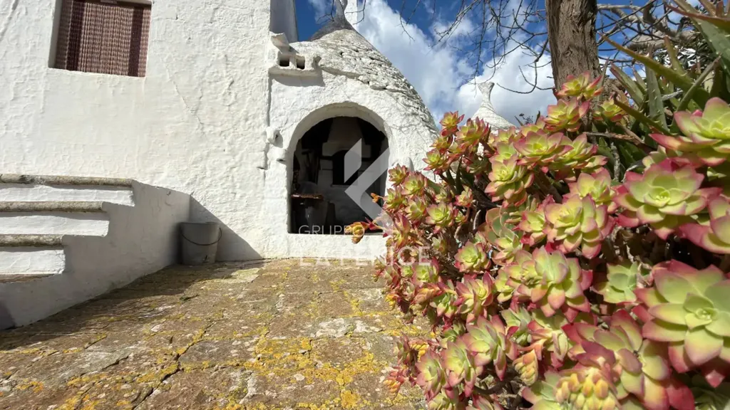 Extérieur - Villa with Trulli in Ceglie Messapica