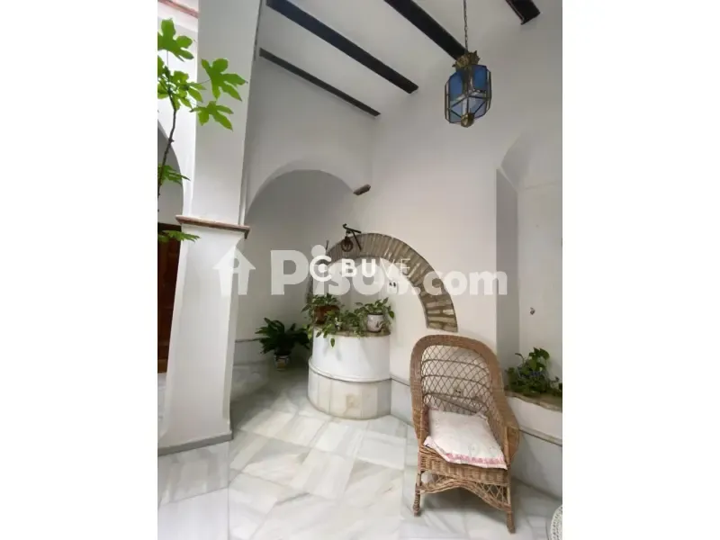 Garten - Señorial Patio House in Lebrija