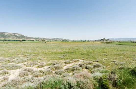 Garden - Development Land in Luna, Zaragoza