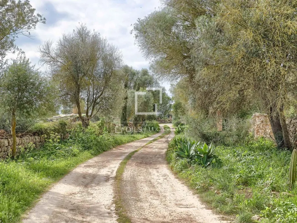Extérieur - Historic Estate with Equestrian Potential in Llucmajor