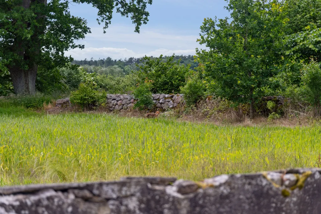 Jardin - Medieval Manor with Forest View in Djursland