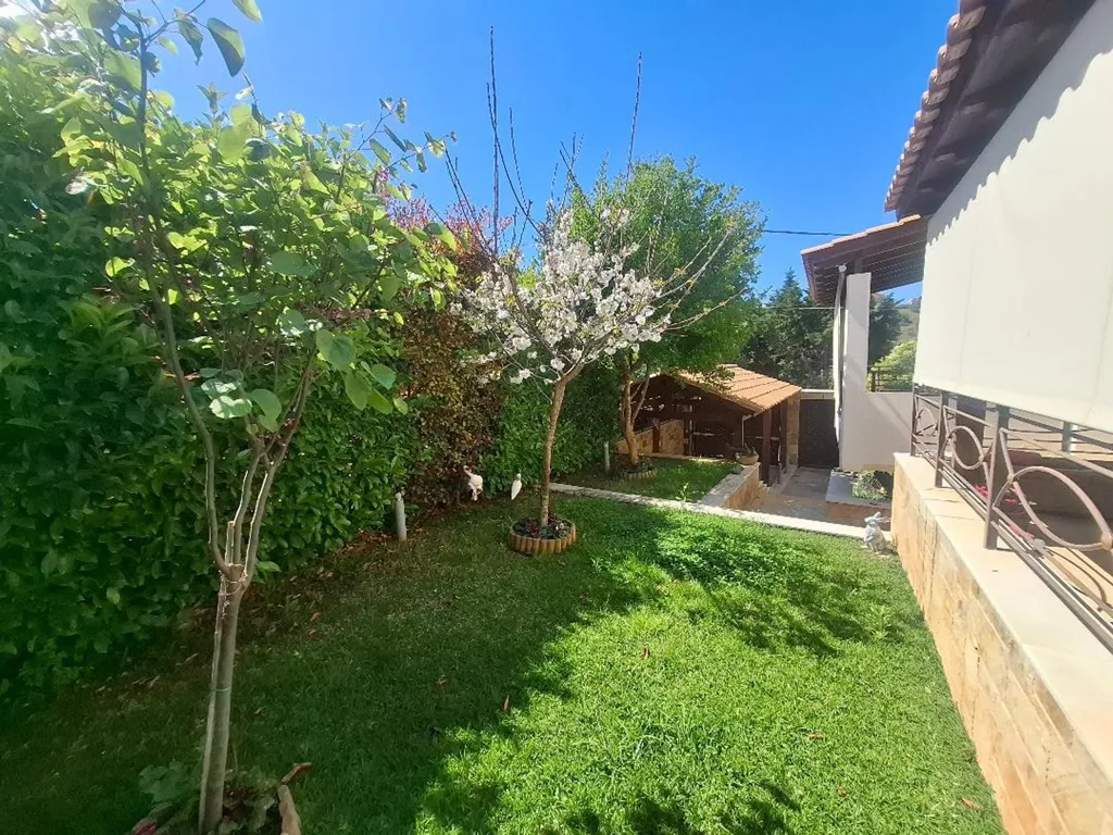 Giardino - Detached House with Garden in Semi-Basement