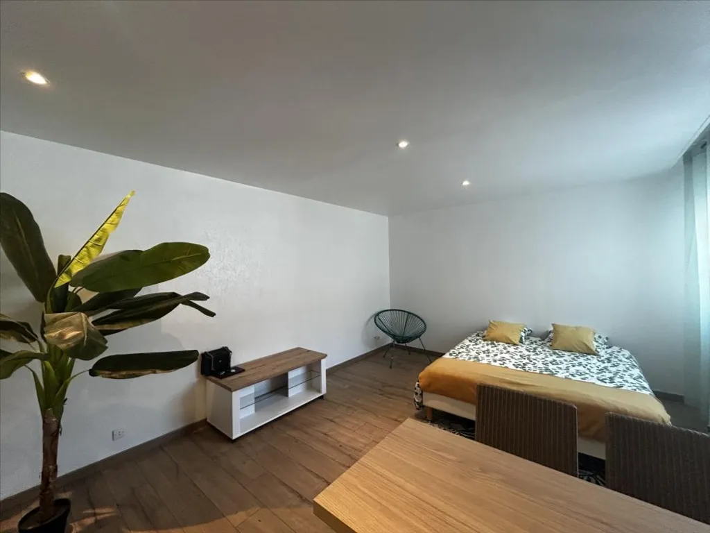Chambres - Studio Lumineux au Rez-de-Chaussée à Colmar