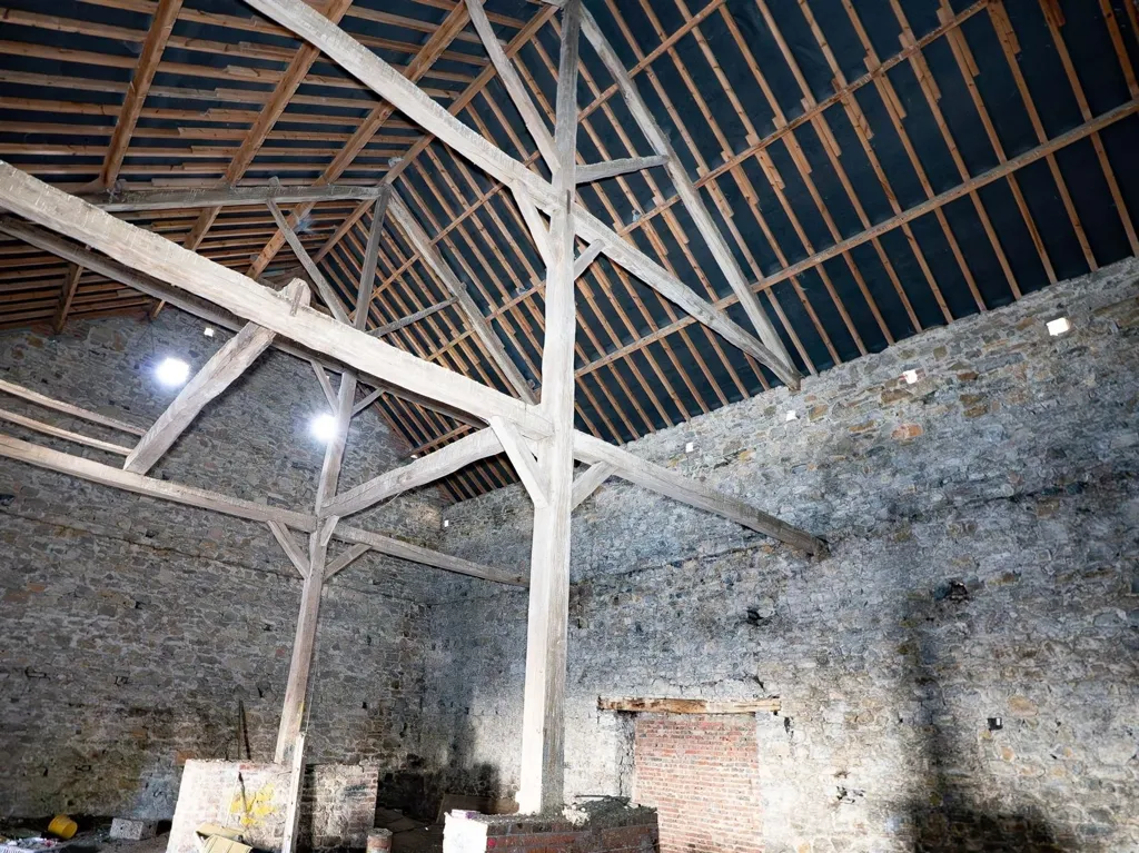 Toad - Historic House with Development Potential in Beauraing