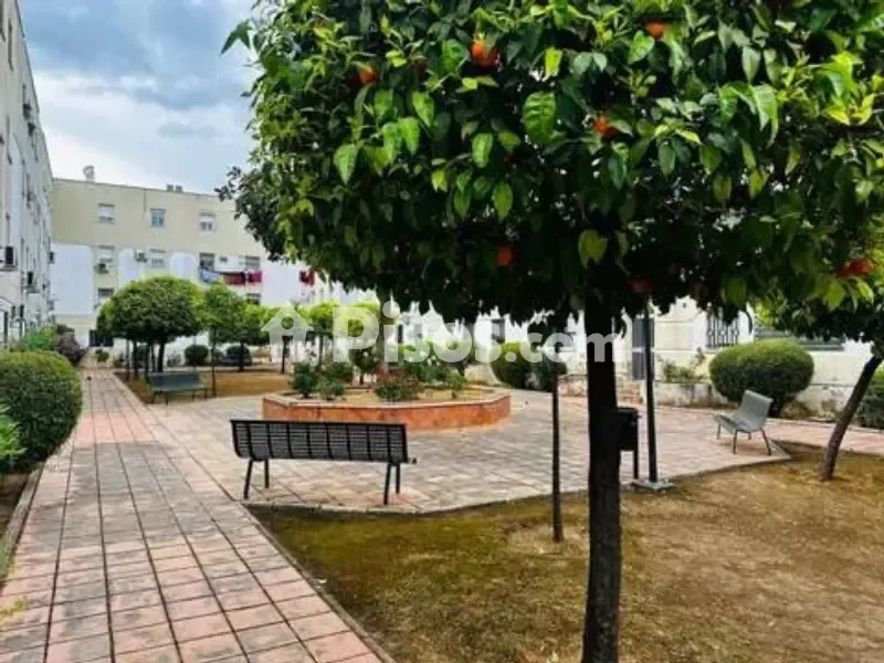 Aed - First Floor Flat with Garden in Pino Montano