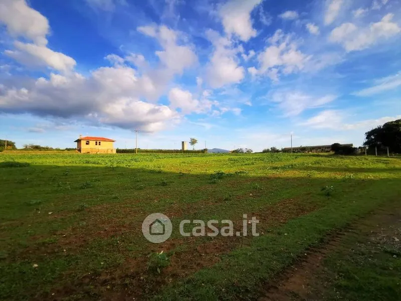 Jardin - Rustic Casale with 3 Hectares in Viterbo