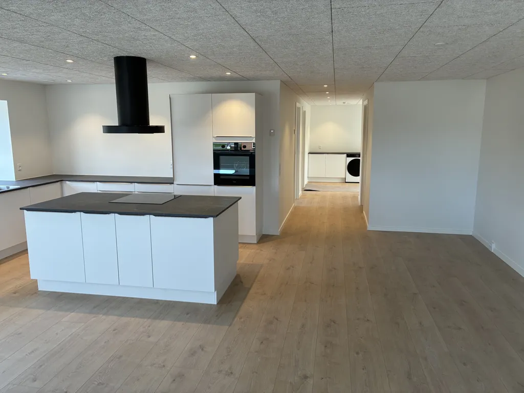 Cuisine - Renovated Apartment with Balcony in Hammershøj