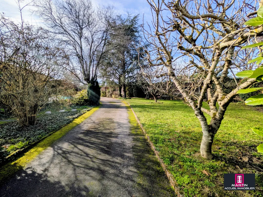 Jardin - Maison avec Piscine et Jardin à Orientation Sud-Ouest