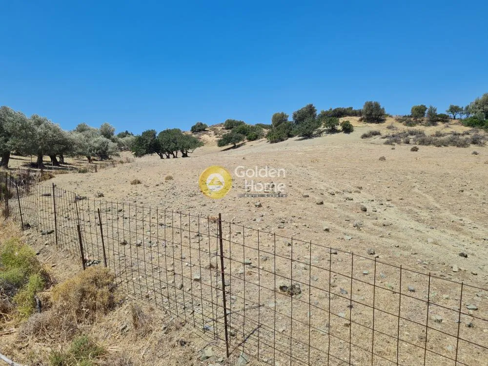 Aed - Plot with Forest View in Triopetra, Agios Vasilios
