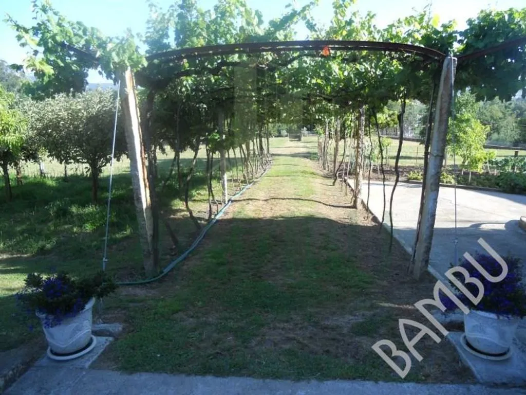 Aed - Luxury Villa with South-Facing Garden in Caminha