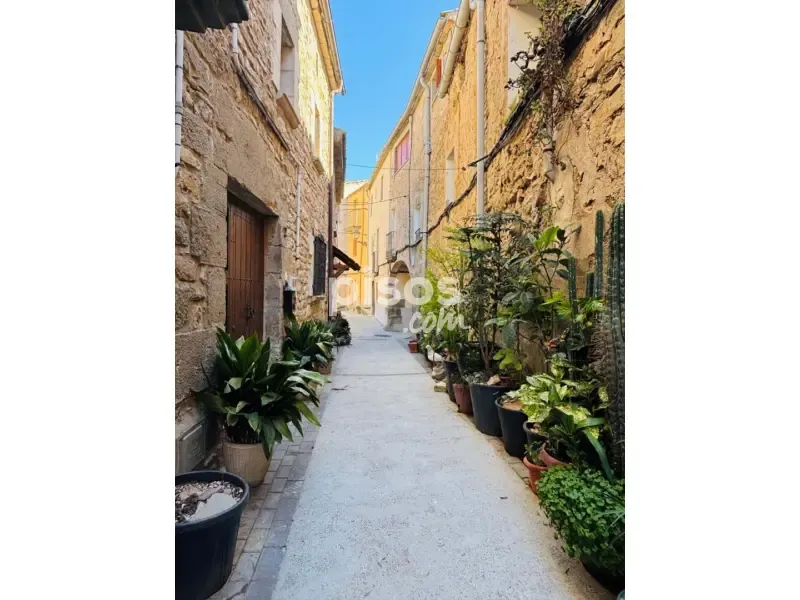 Garden - Rustic House with Terrace in Torrefeta i Florejacs