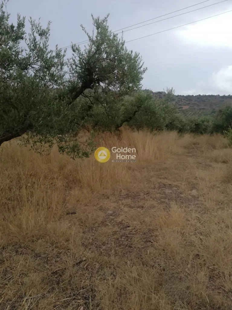 Garden - Agricultural Plot with Mountain View in Gouves