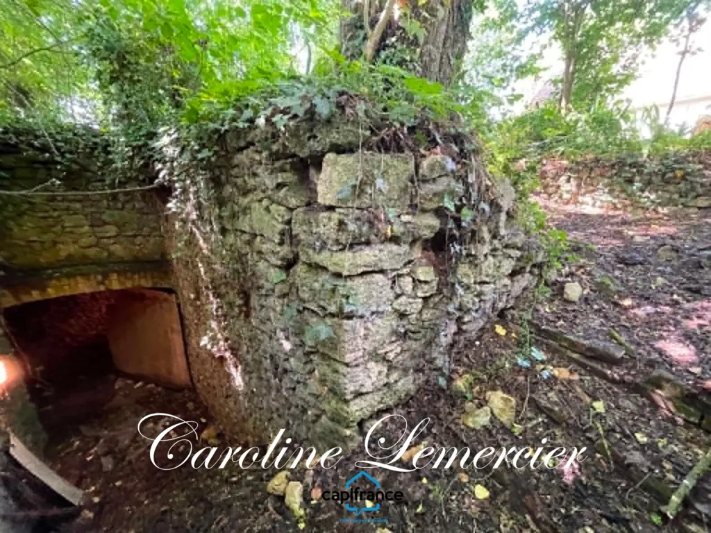 Garden - Farmhouse with Caves near Connerre