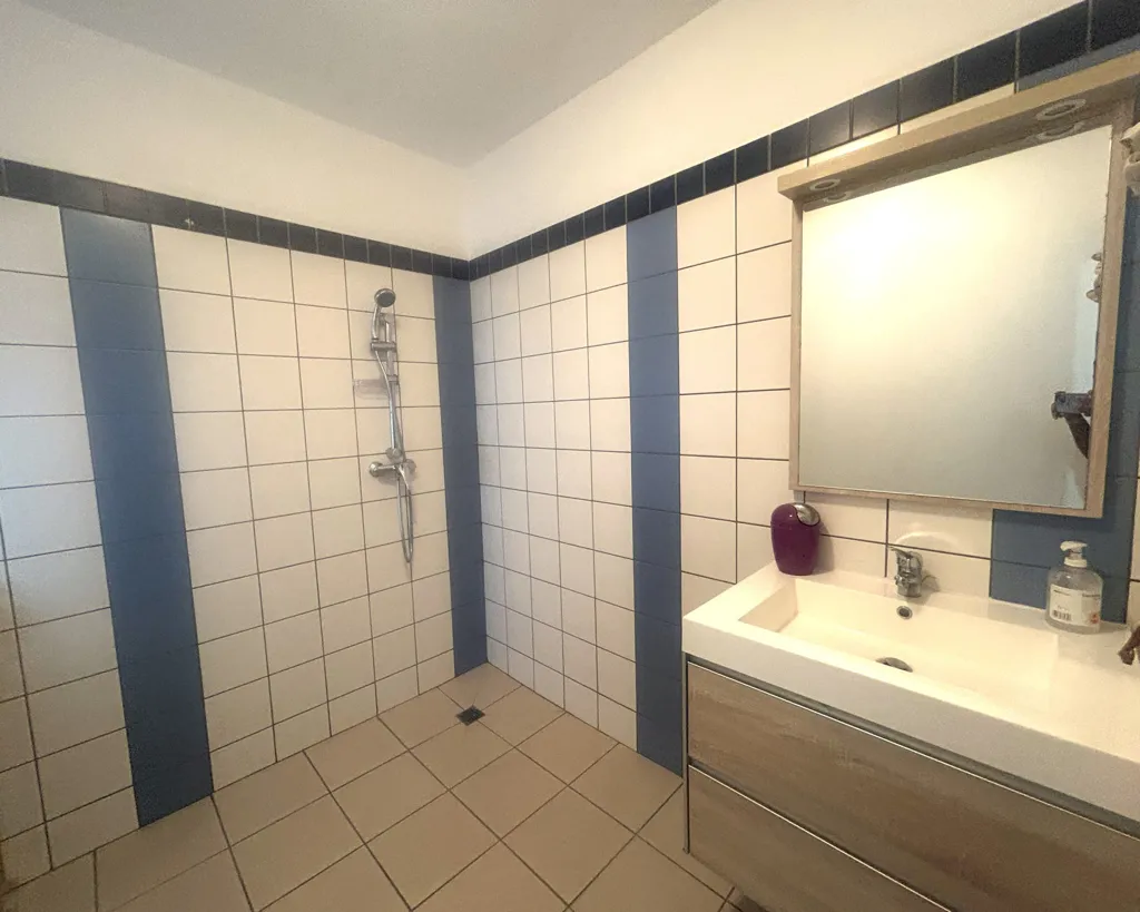Vannitoad - Meubled Flat with Jacuzzi in Le Tampon