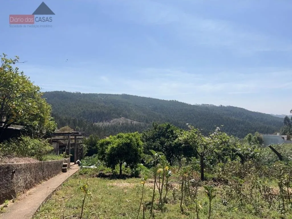 Jardin - Luxury Apartment Complex with Garden in Coimbra
