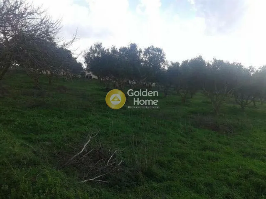 Jardin - Plot with Panoramic Sea View in Methoni