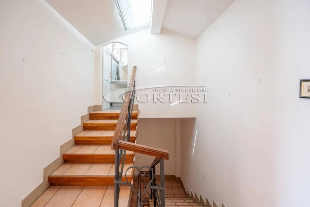 Toad - Three-Unit House with Private Garden in Città di Castello