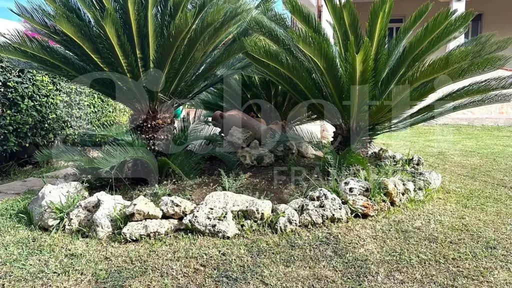 Jardin - Villa with Sea View in Avola