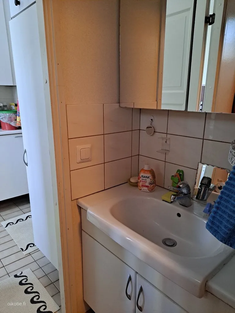 Bathrooms - Detached House with Large Terrace in Lappeenranta