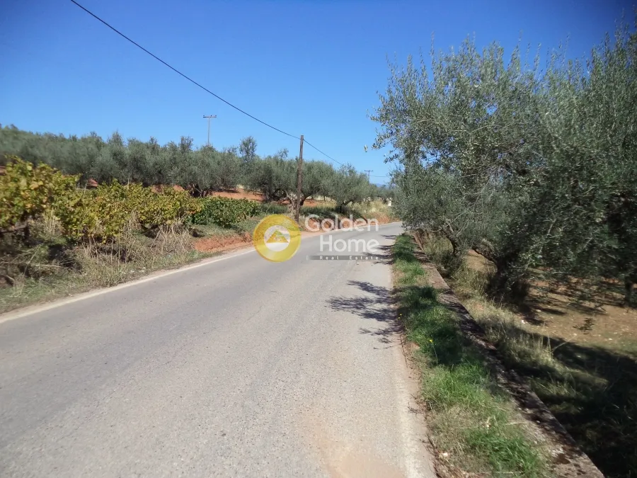 Extérieur - Agricultural Plot with Olive Trees in Aegio