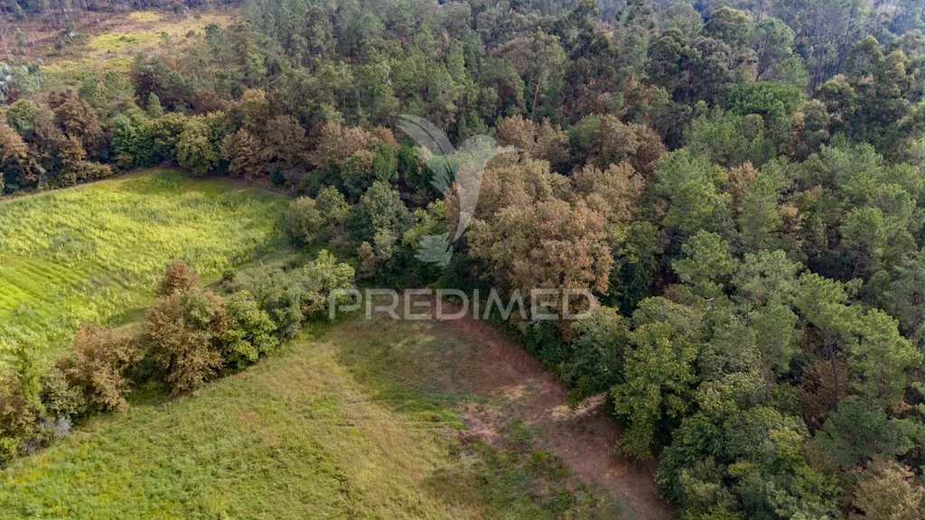 Vue aérienne - Agricultural Land with Construction Viability in Lage