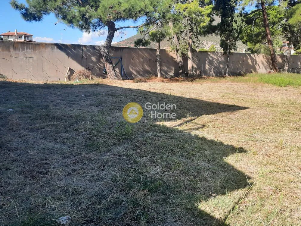 Aed - Beachfront Plot with Sea View in Tolophona