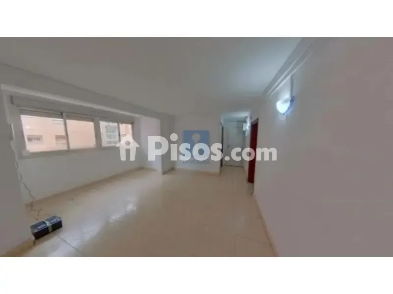 Toad - Occupied Flat in Terrassa, Barcelona