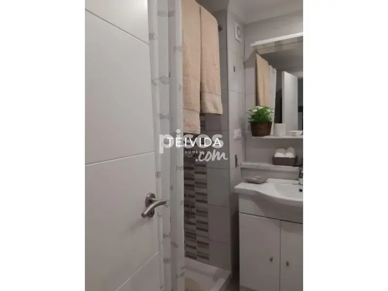 Vannitoad - Furnished Flat with Terrace in Botanical District